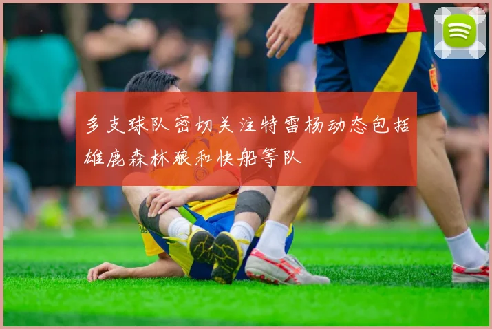 多支球队密切关注特雷杨动态包括雄鹿森林狼和快船等队