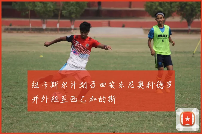 纽卡斯尔计划召回安东尼奥科德罗并外租至西乙加的斯