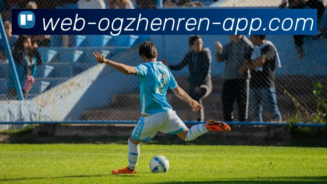 App Interface Preview