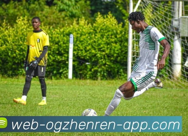 OG真人APP 封面图